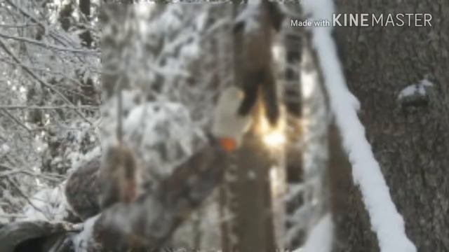 Охота на куницу смотреть онлайн