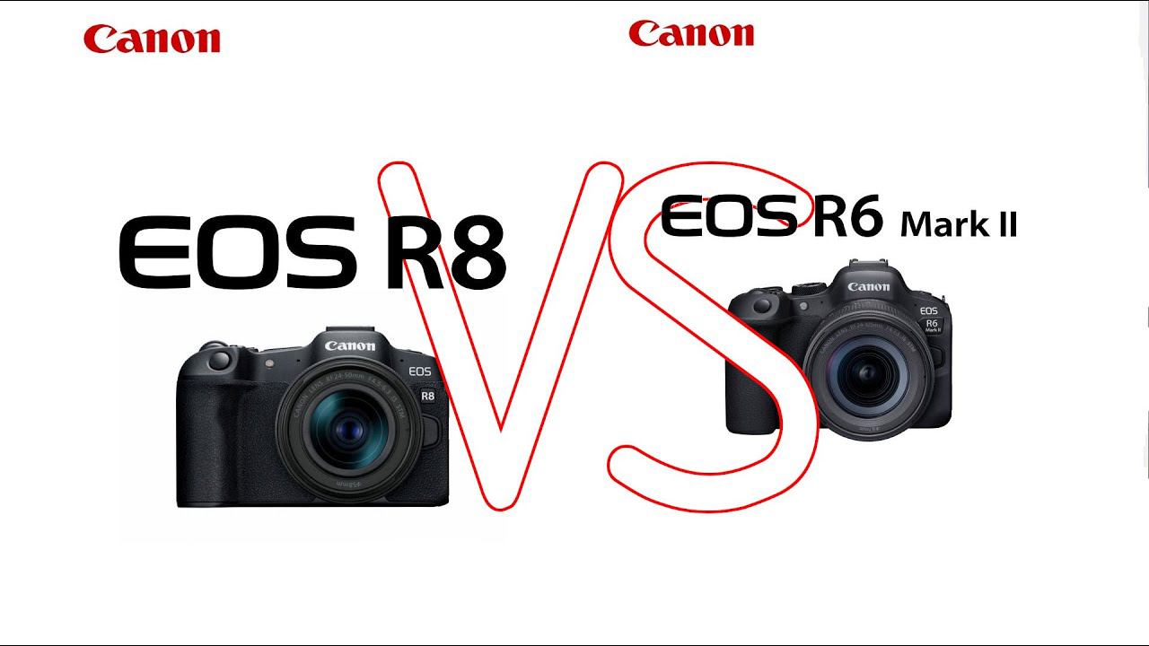 Минусы Canon R8 в отличии от Canon R6 mark II. смотреть онлайн