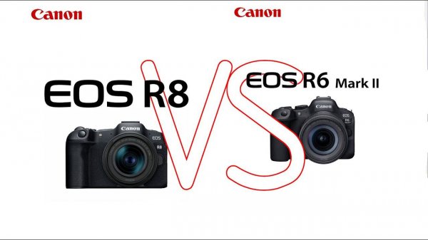 Минусы Canon R8 в отличии от Canon R6 mark II.