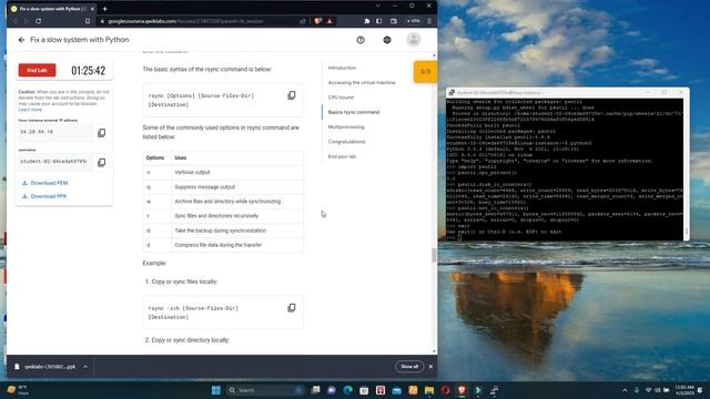 Qwiklabs Assessment: Performance Tuning In Python Scripts