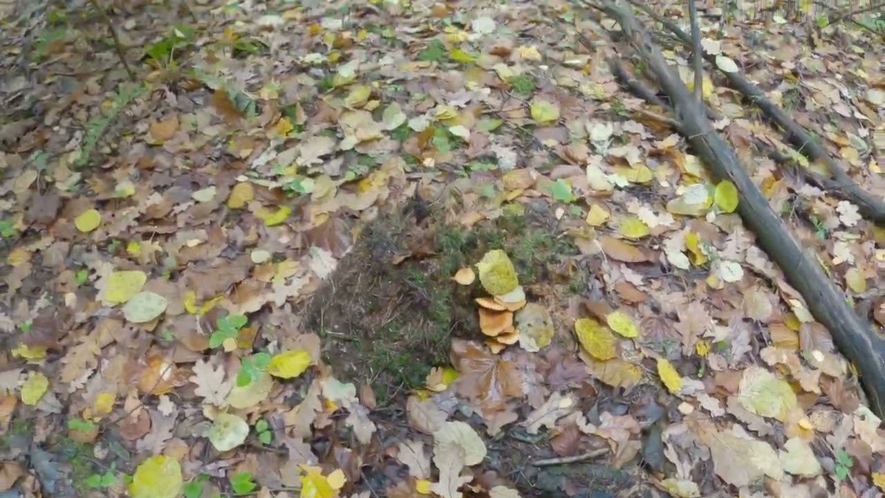 7.10.2022_7 смотреть онлайн