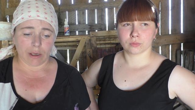 Вакцинация кроликов. Определяем пол у кроликов в 1,5 месяца. смотреть онлайн