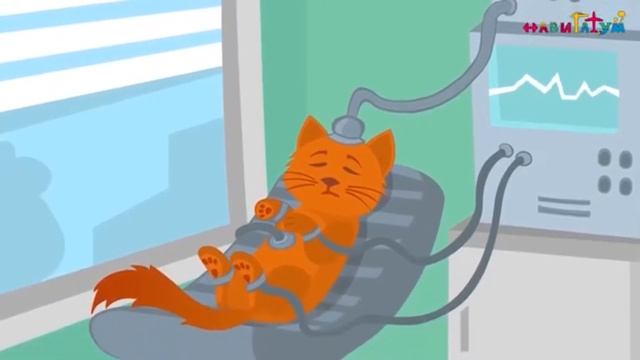 Проект "ПрофиЛенд": игровой час "Профессия - ветеринар" смотреть онлайн