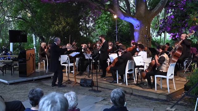 Berceuse (A Jarnefelt) performed by Stefan Conradie on Violin смотреть онлайн