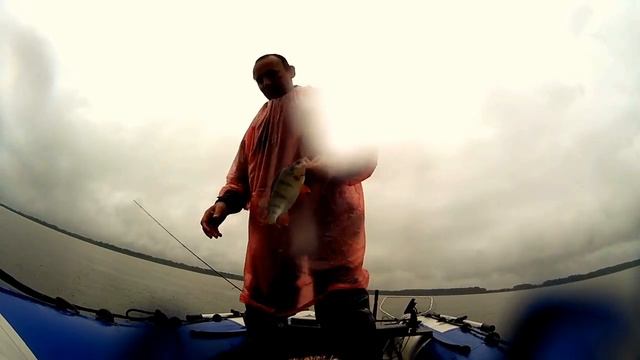 Ловля окуня на стример смотреть онлайн