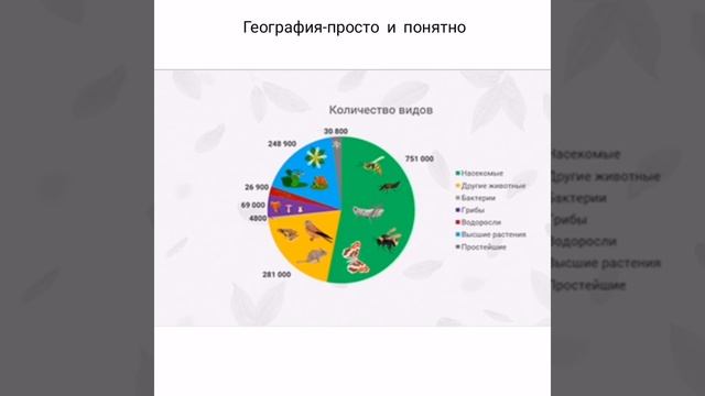 Биосфера-земная оболочка. География 6 класс. География-просто и понятно. смотреть онлайн