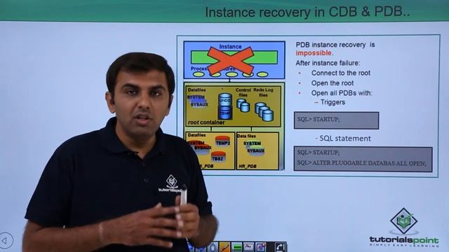 Oracle DB 12c - Instance Recovery in CDB & PDB смотреть онлайн