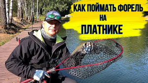 Ловля  форели на спорт зоне СРБ "Парус Север"