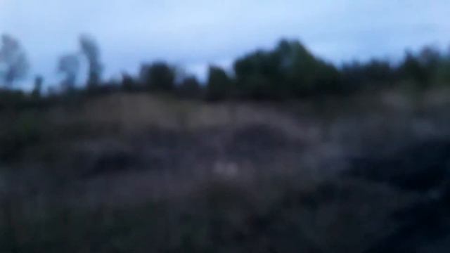 Алабай, бегущая по лугу смотреть онлайн