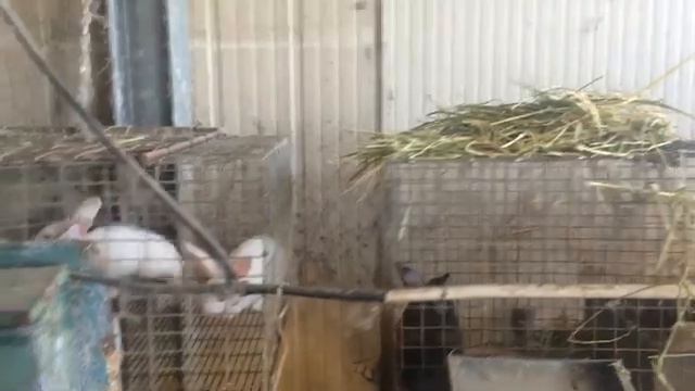 Ферма в Италии смотреть онлайн