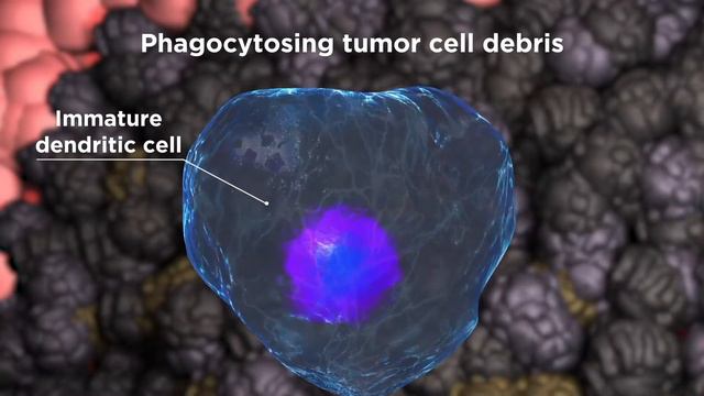 How can Elicera’s iTANK technology boost CAR-T cell therapies? смотреть онлайн