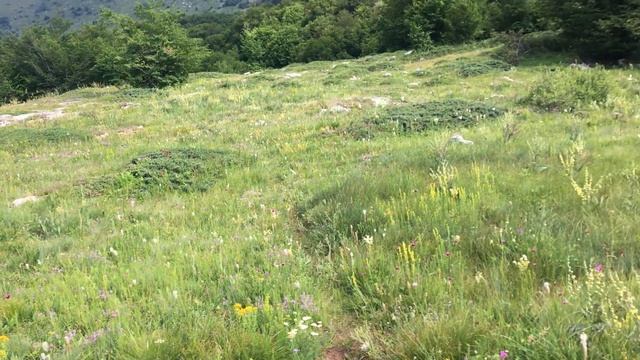 Необычный День Рождения в горах! Подарки природы)! Природа на плато Чатыр-Даг смотреть онлайн