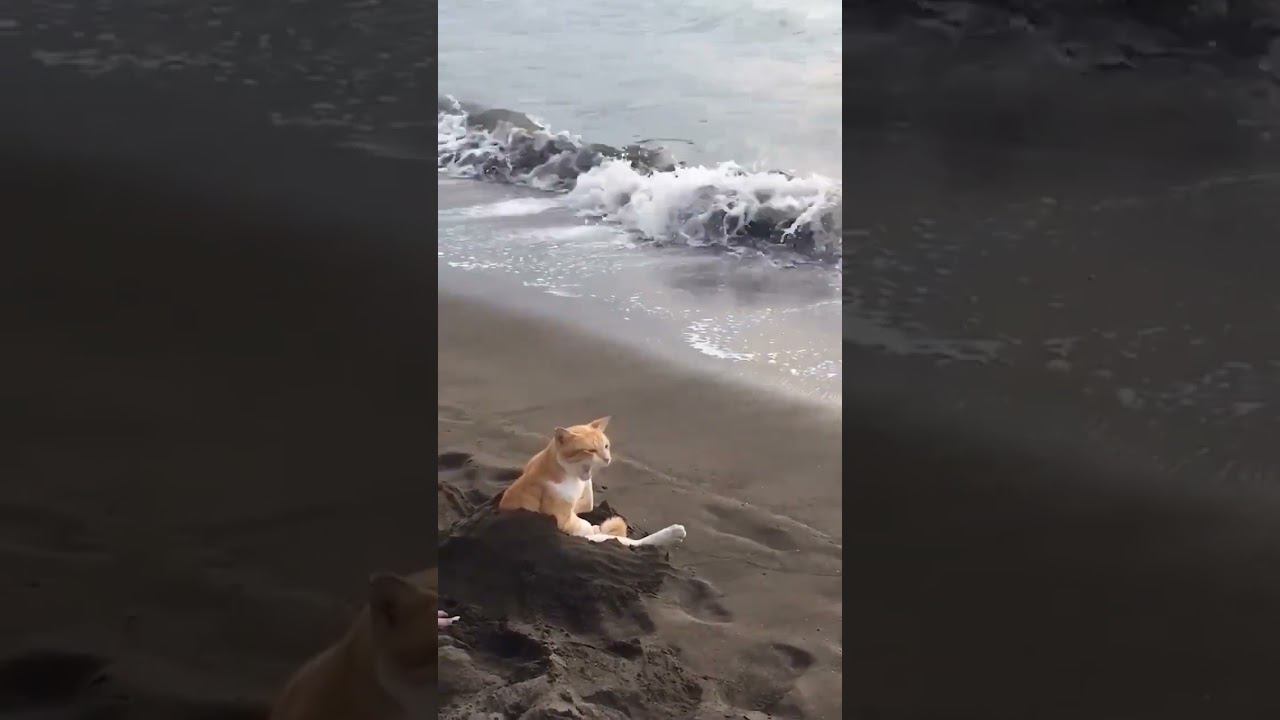 расслабуха смотреть онлайн