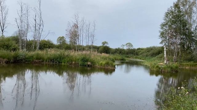 # Хоббитлэнд | отдыхаем в Хоббитлэнде в Подмосковье смотреть онлайн