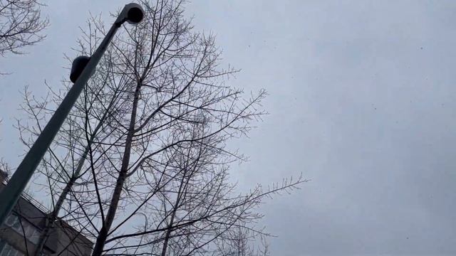 Уфа. Сквер. Инорс ул. Георгия Мушникова, есть но на картах его нет? Финал 09.11.22 смотреть онлайн