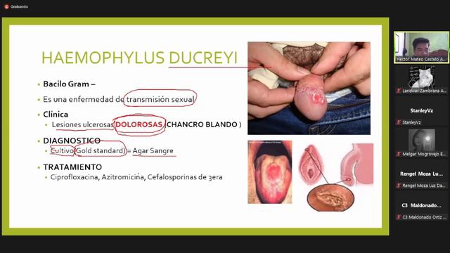 repaso bacterio pt 1 смотреть онлайн