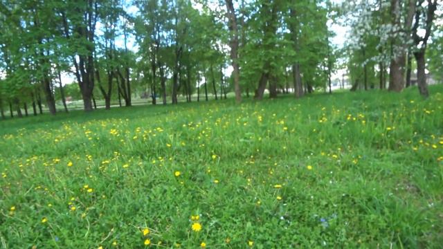 ЧТО ОСТАЛОСЬ ОТ УСАДЬБЫ ЯНКИ КУПАЛА?НАШЛИ ВЫСОКУЮ ВЫШКУ смотреть онлайн
