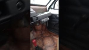 ока на гусеницах