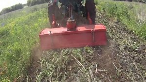 Т 25 Владимировец с Фрезой. Фрезеровка по Сидератам. John Deere Russia