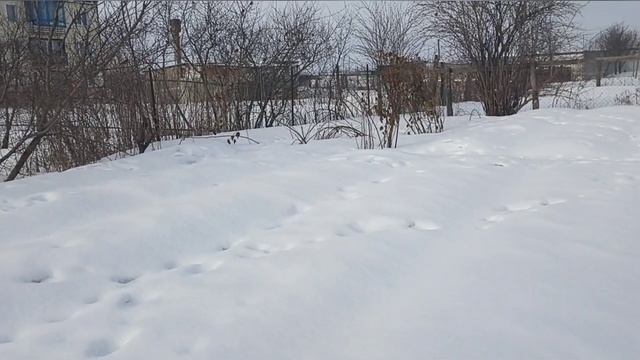 ВНИМАНИЕ! НАБОР В ЗАКРЫТУЮ ГРУППУ " ДАЧНЫЙ БИЗНЕС БЕЗ ВЛОЖЕНИЙ " ЧАСТЬ -1 // ВАЦАП 8-915-245-81-59 смотреть онлайн