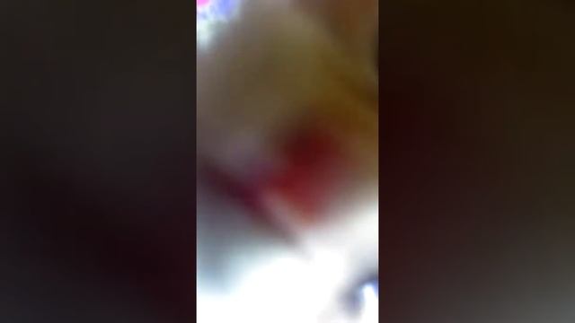 Кот оперкот смотреть онлайн