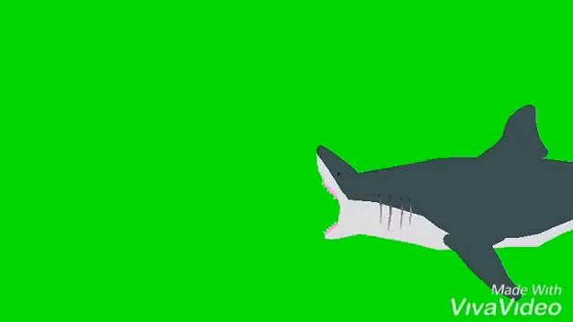 Shark Pog in stick nodes смотреть онлайн