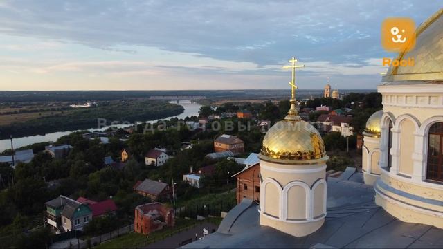 Ветеринар в Кашире: работа о вашем питомце на высшем уровне. Услуги ветеринара на дому . смотреть онлайн