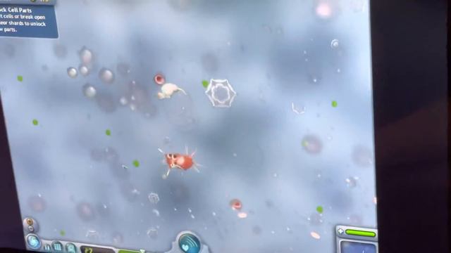 Playing Spore - Episode 1 смотреть онлайн