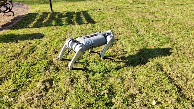 Робот Собака на ваше Мероприятие! Аренда Робот Мода #robot #dog #event #robotmda www.robotmoda.ru смотреть онлайн