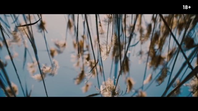 Секреты Творческого Саморазвития