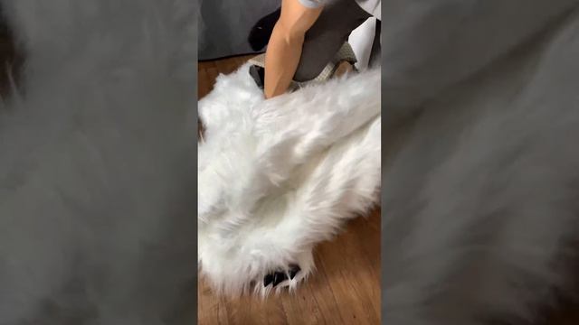 Как надевать костюм медведя? Версия медведя 1.0 смотреть онлайн