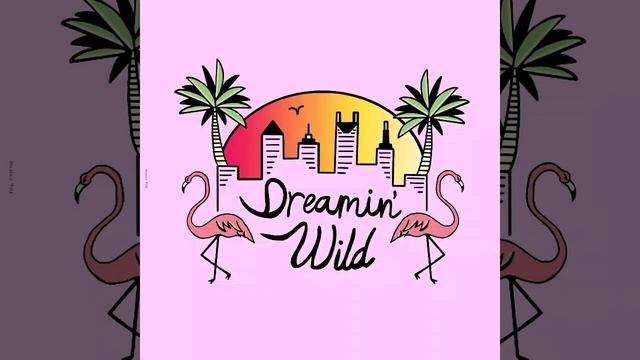 Bossa Nova - Dreamin' Wild