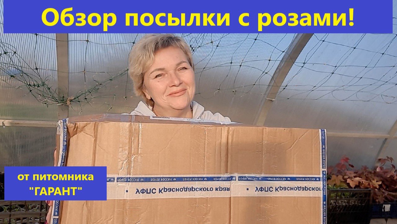 Весна. Апрель. Обзор посылки с розами от питомника ГАРАНТ смотреть онлайн