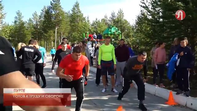 Нормативы нужно сдать до конца года смотреть онлайн