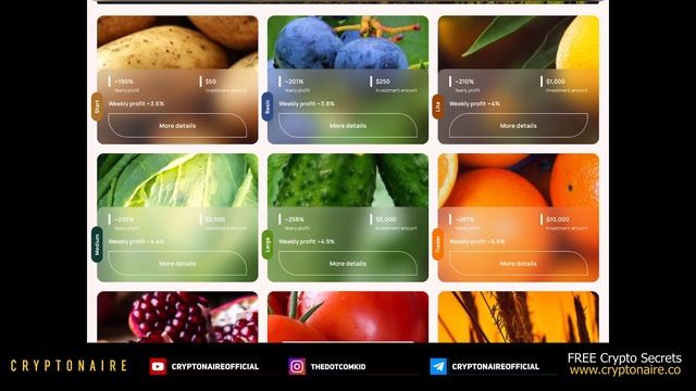 AGROS DEPOSIT - HOW TO DEPOSIT & BUY A SLOT - EARN UP TO 6% WEEKLY - LONG TERM ?! смотреть онлайн