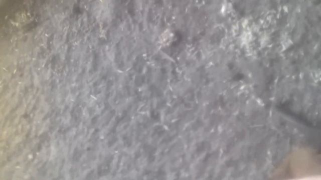 Дикая литучая мышь на руках смотреть онлайн