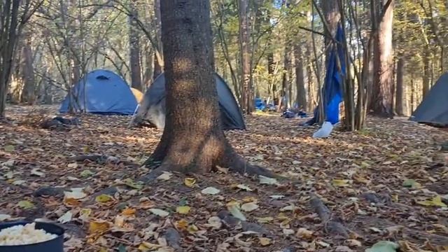 Турслет МГУ 2022 смотреть онлайн