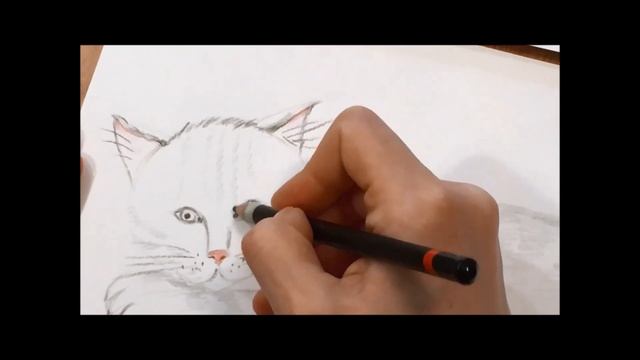 Урок рисования. Котик смотреть онлайн