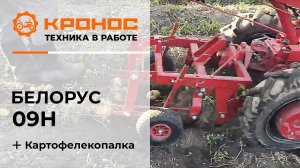 Картофелекопалка к мотоблоку МТЗ 09Н в работе
