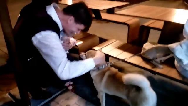 Уроки доверия ребенку в 1 год. Часть3 смотреть онлайн