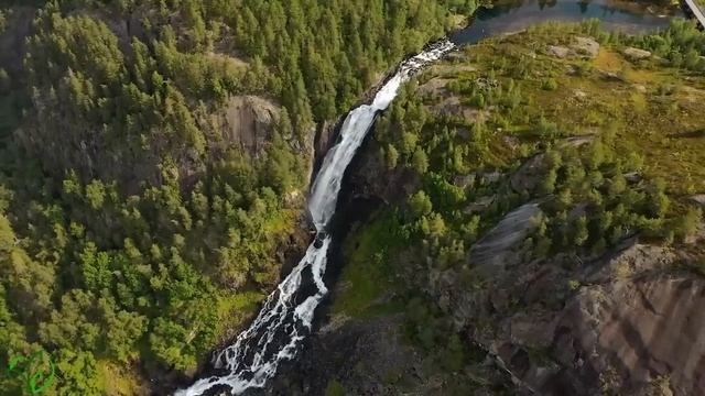 Музыка лечит сердце и сосуды? Успокаивающая музыка восстанавливает нервную систему,расслабляющая #8 смотреть онлайн