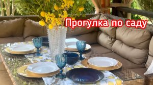 Прогулка по саду. Создаю уют в беседке.