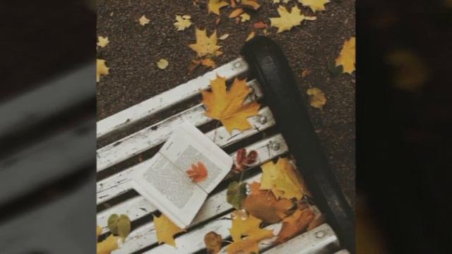Бой ва мискин ку'шни хикояси. смотреть онлайн