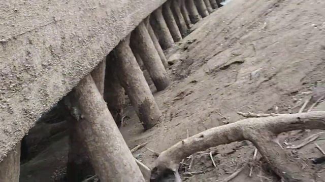 деревянные сваи#Shorts смотреть онлайн