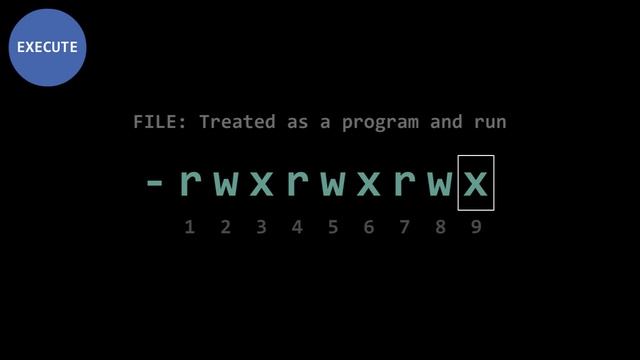 Linux 4 - Permissions смотреть онлайн