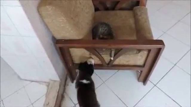 Давай познакомимся смотреть онлайн