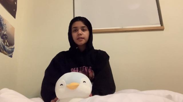 chaotic guide to my freshman year at NYUAD *2022* смотреть онлайн