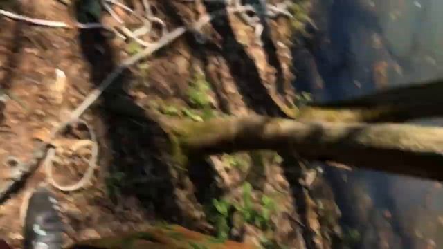 Магнитная рыбалка ? смотреть онлайн