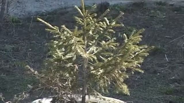 К закону о капитальном ремонте. Ремонт крыши по ул.Мошкалёва, 28 смотреть онлайн