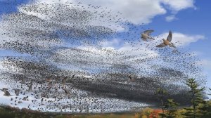 Окружающий мир 3 класс ч.1, тема урока "Природа в опасности", с.29-34, Школа России